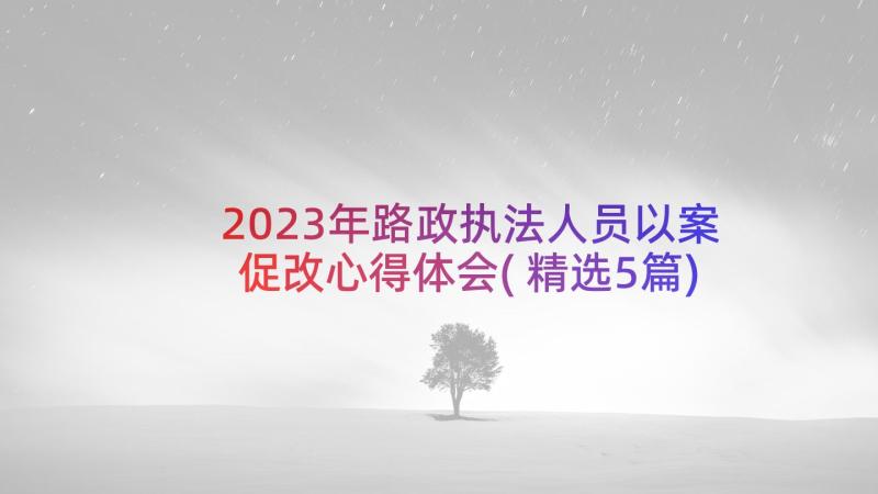 2023年路政执法人员以案促改心得体会(精选5篇)