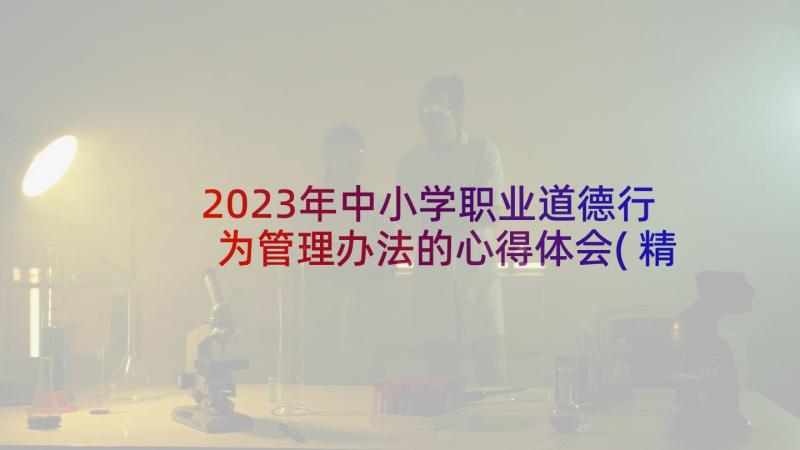 2023年中小学职业道德行为管理办法的心得体会(精选5篇)