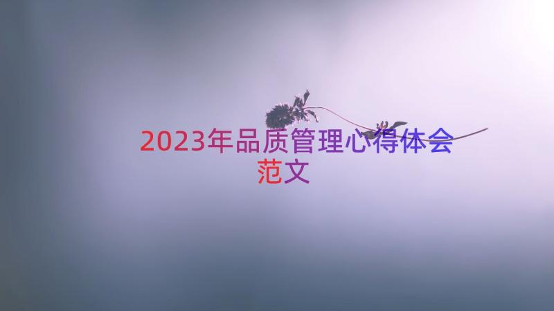 2023年品质管理心得体会范文（18篇）