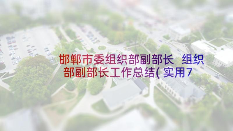 邯郸市委组织部副部长 组织部副部长工作总结(实用7篇)