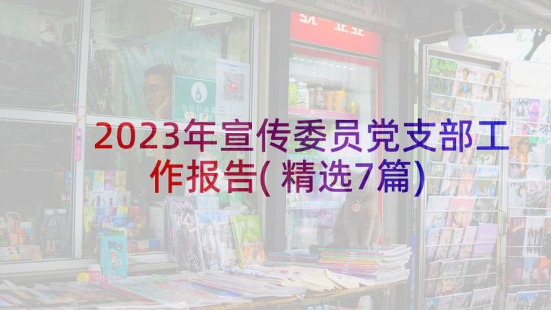 2023年宣传委员党支部工作报告(精选7篇)