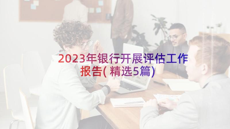 2023年银行开展评估工作报告(精选5篇)