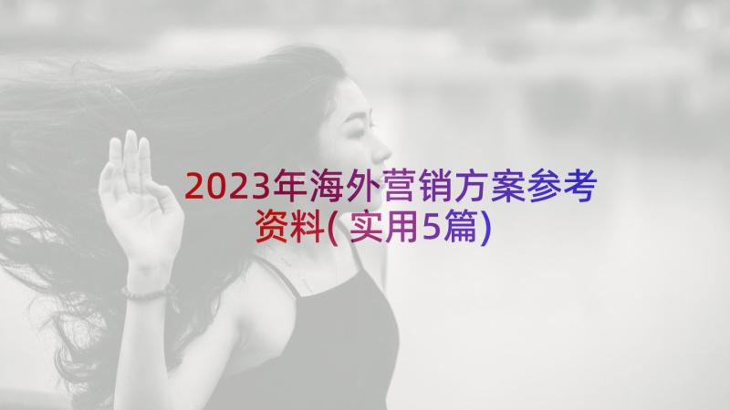 2023年海外营销方案参考资料(实用5篇)