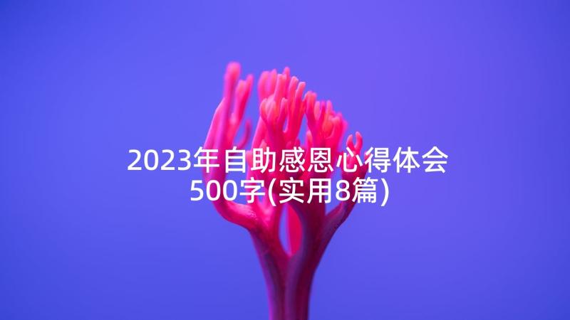 2023年自助感恩心得体会500字(实用8篇)