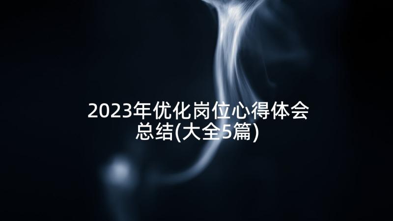 2023年优化岗位心得体会总结(大全5篇)