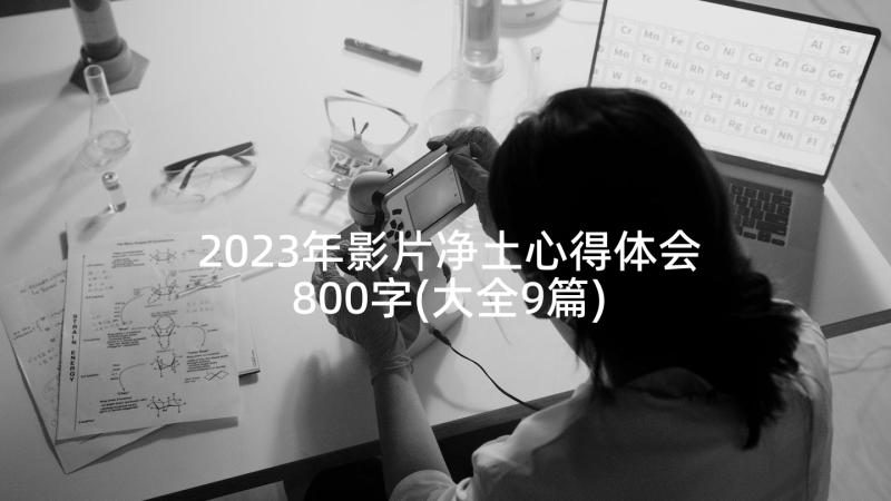2023年影片净土心得体会800字(大全9篇)