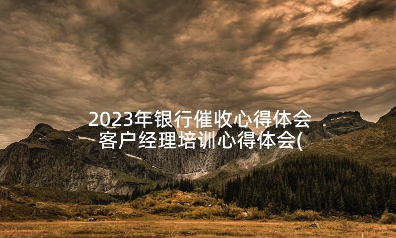 2023年银行催收心得体会 客户经理培训心得体会(精选6篇)