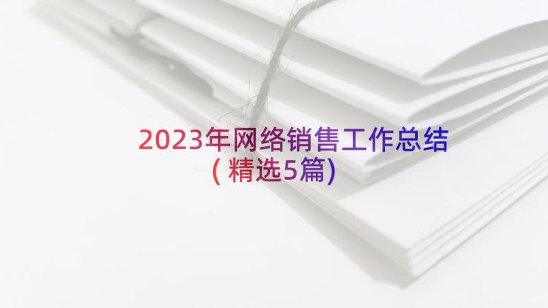 2023年网络销售工作总结(精选5篇)