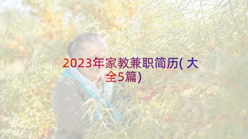 2023年家教兼职简历(大全5篇)