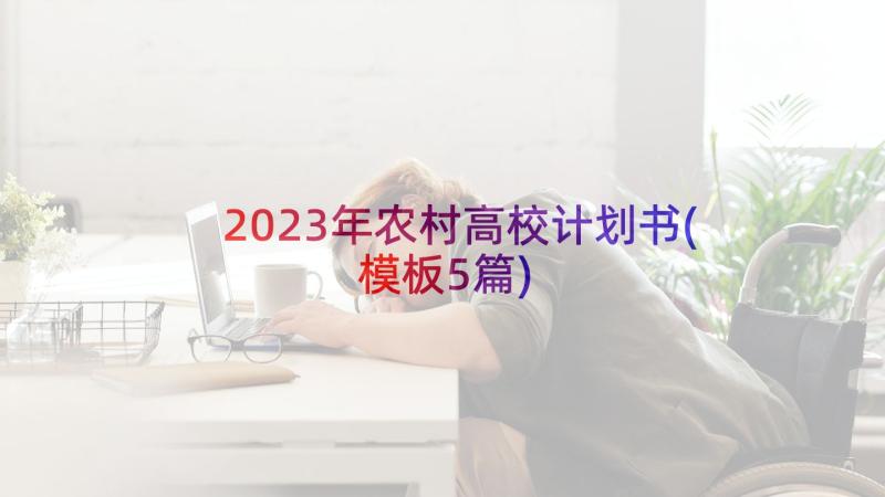 2023年农村高校计划书(模板5篇)
