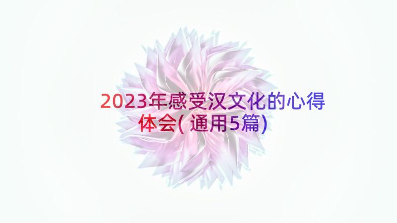 2023年感受汉文化的心得体会(通用5篇)