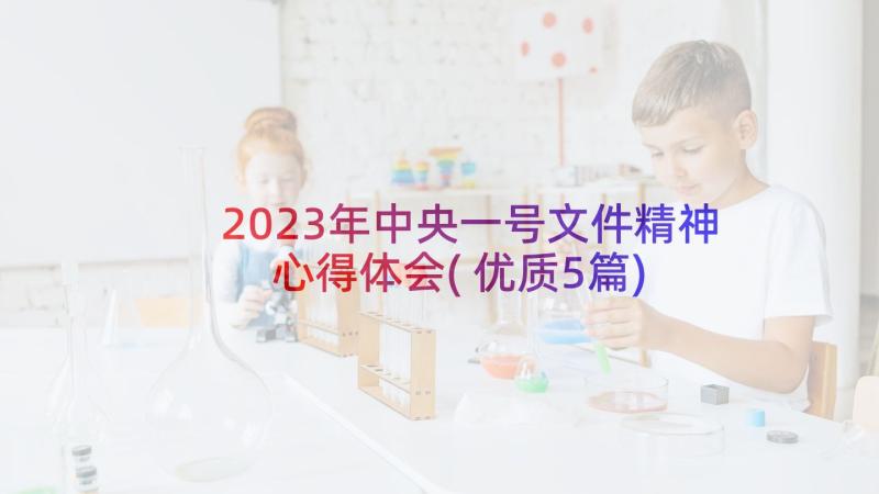 2023年中央一号文件精神心得体会(优质5篇)