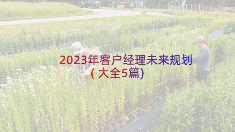 2023年客户经理未来规划(大全5篇)