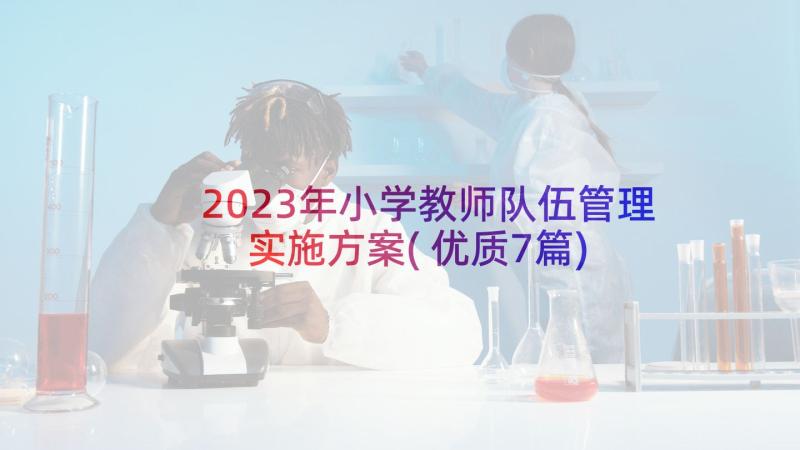 2023年小学教师队伍管理实施方案(优质7篇)