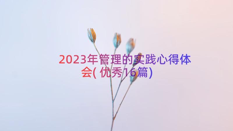 2023年管理的实践心得体会(优秀16篇)