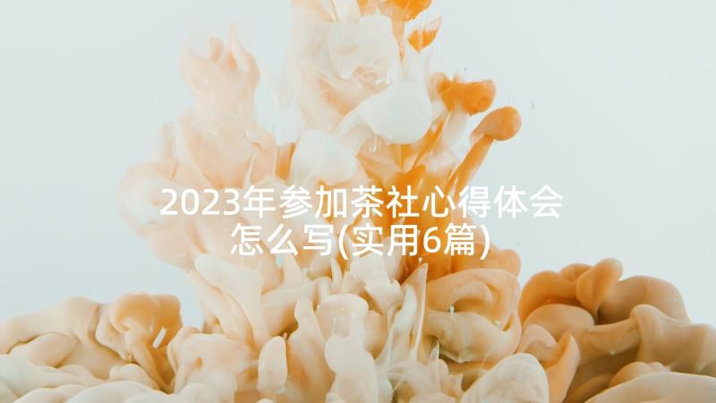 2023年参加茶社心得体会怎么写(实用6篇)