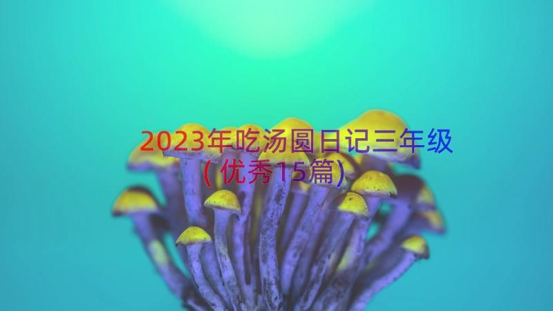 2023年吃汤圆日记三年级(优秀15篇)