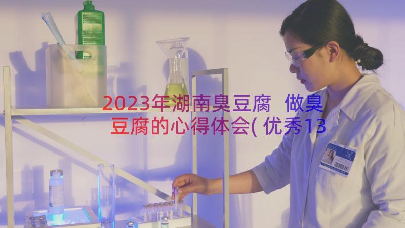 2023年湖南臭豆腐 做臭豆腐的心得体会(优秀13篇)