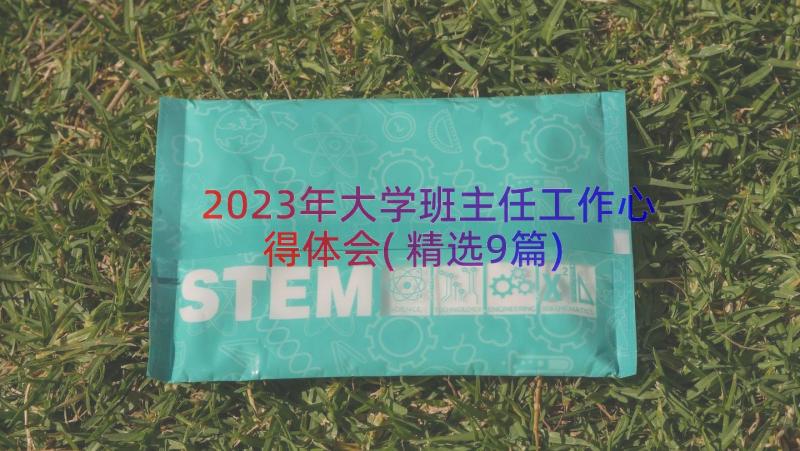 2023年大学班主任工作心得体会(精选9篇)