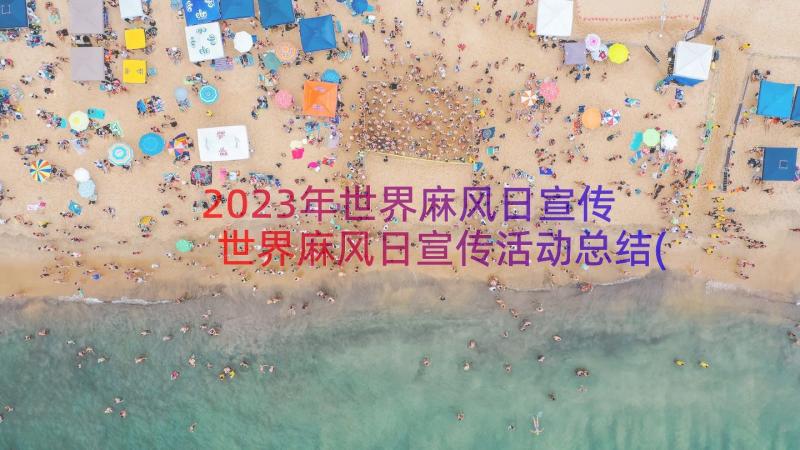 2023年世界麻风日宣传 世界麻风日宣传活动总结(大全17篇)