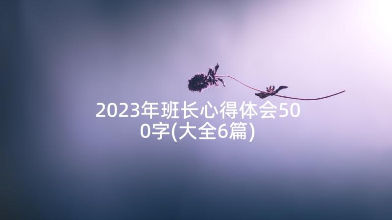 2023年班长心得体会500字(大全6篇)