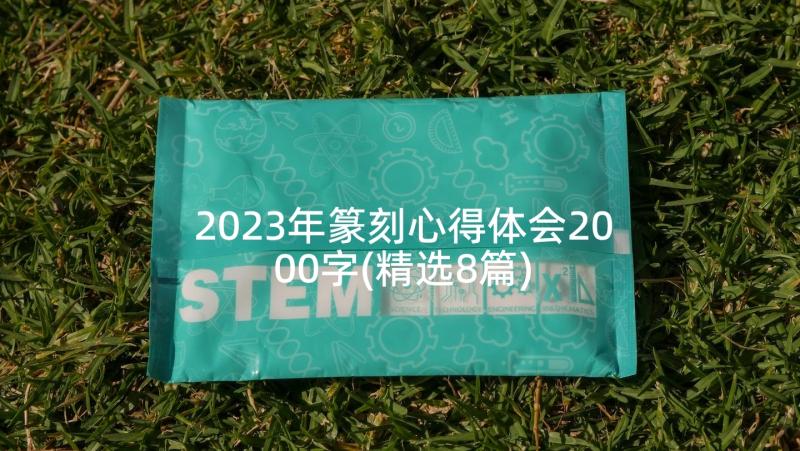 2023年篆刻心得体会2000字(精选8篇)