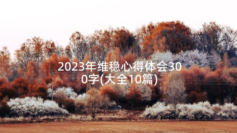 2023年维稳心得体会300字(大全10篇)