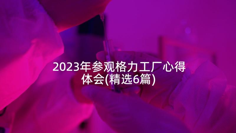2023年参观格力工厂心得体会(精选6篇)
