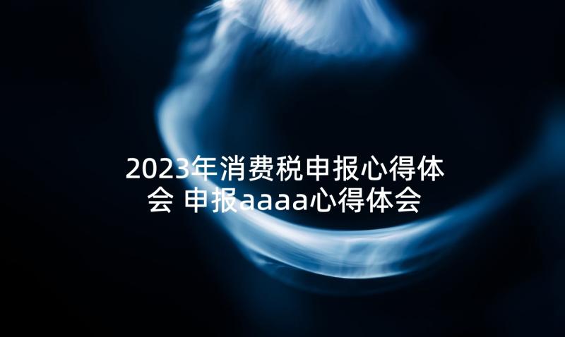 2023年消费税申报心得体会 申报aaaa心得体会(实用9篇)