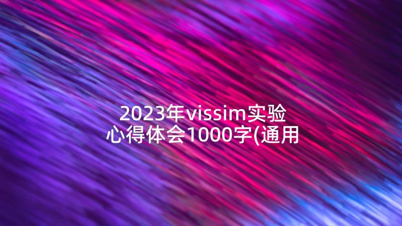 2023年vissim实验心得体会1000字(通用6篇)