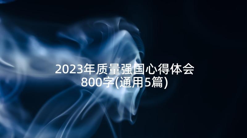 2023年质量强国心得体会800字(通用5篇)