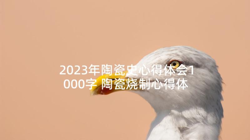 2023年陶瓷史心得体会1000字 陶瓷烧制心得体会(通用8篇)