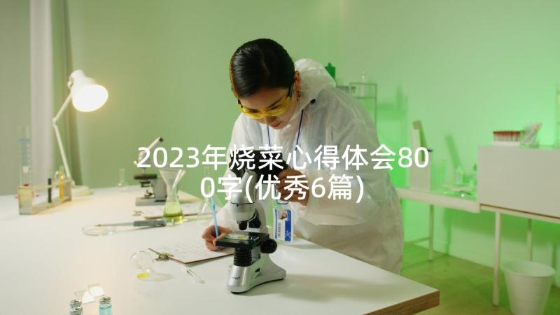 2023年烧菜心得体会800字(优秀6篇)