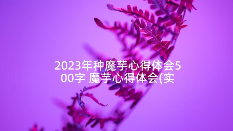 2023年种魔芋心得体会500字 魔芋心得体会(实用10篇)