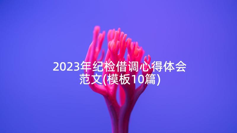 2023年纪检借调心得体会范文(模板10篇)
