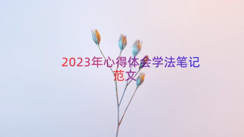 2023年心得体会学法笔记范文（15篇）