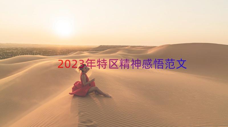 2023年特区精神感悟范文（16篇）