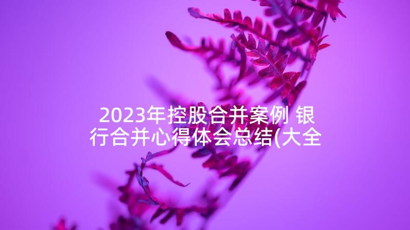 2023年控股合并案例 银行合并心得体会总结(大全6篇)