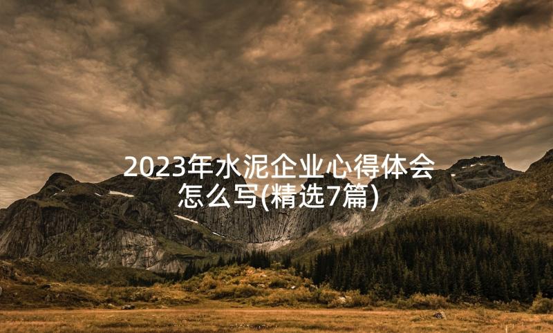 2023年水泥企业心得体会怎么写(精选7篇)
