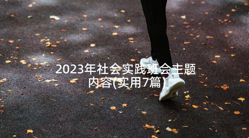 2023年社会实践班会主题内容(实用7篇)