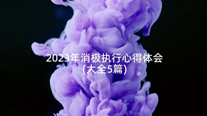 2023年消极执行心得体会(大全5篇)