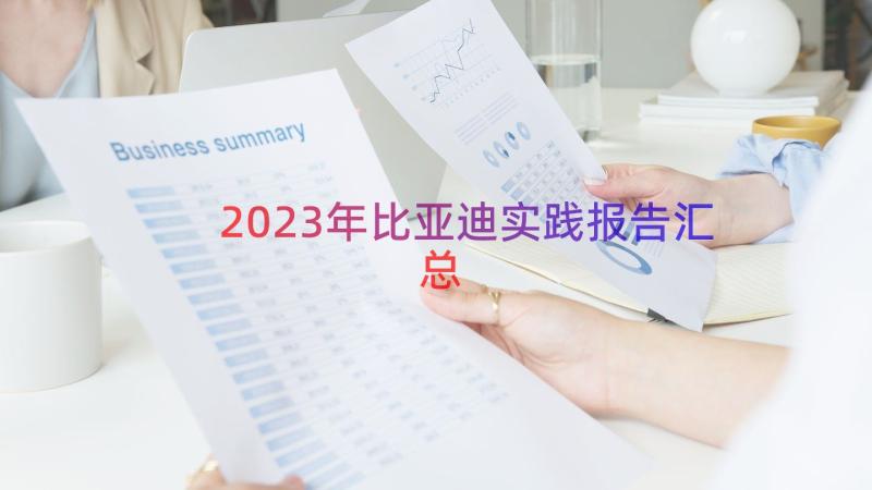 2023年比亚迪实践报告（汇总12篇）