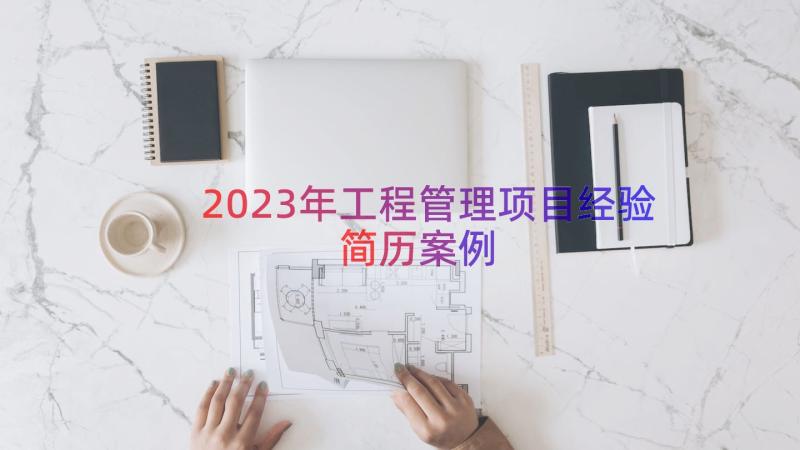 2023年工程管理项目经验简历（案例15篇）