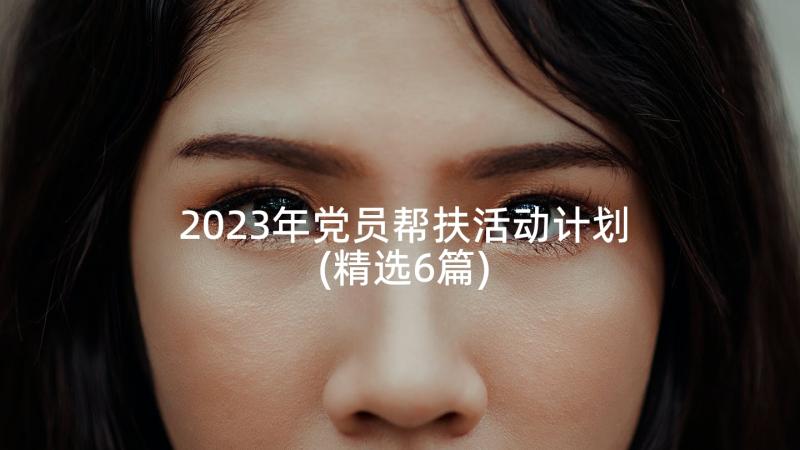 2023年党员帮扶活动计划(精选6篇)