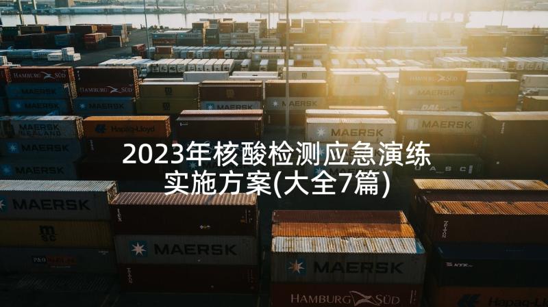 2023年核酸检测应急演练实施方案(大全7篇)