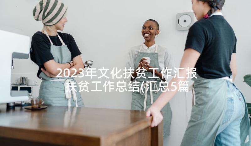 2023年文化扶贫工作汇报 扶贫工作总结(汇总5篇)