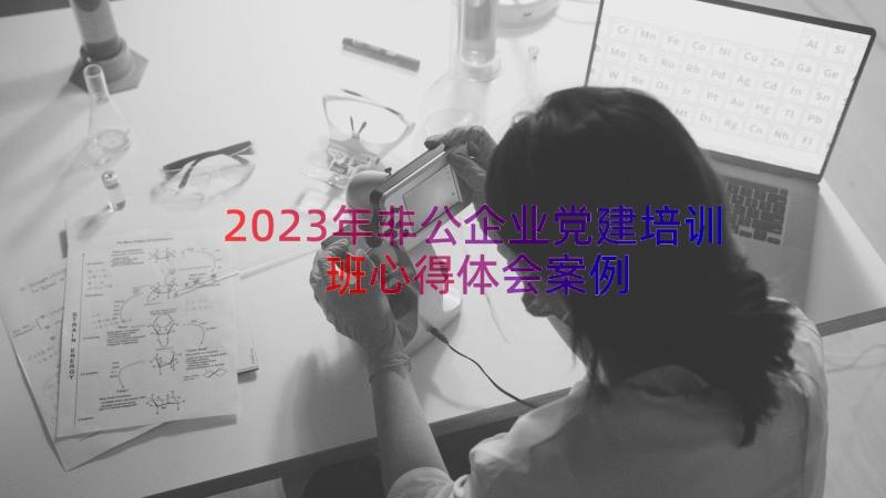 2023年非公企业党建培训班心得体会（案例16篇）