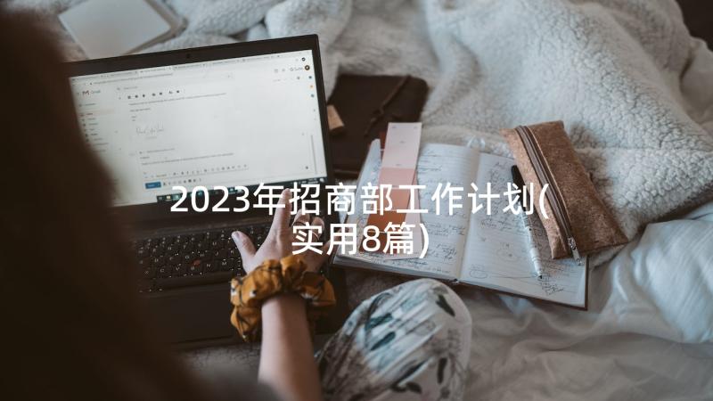 2023年招商部工作计划(实用8篇)