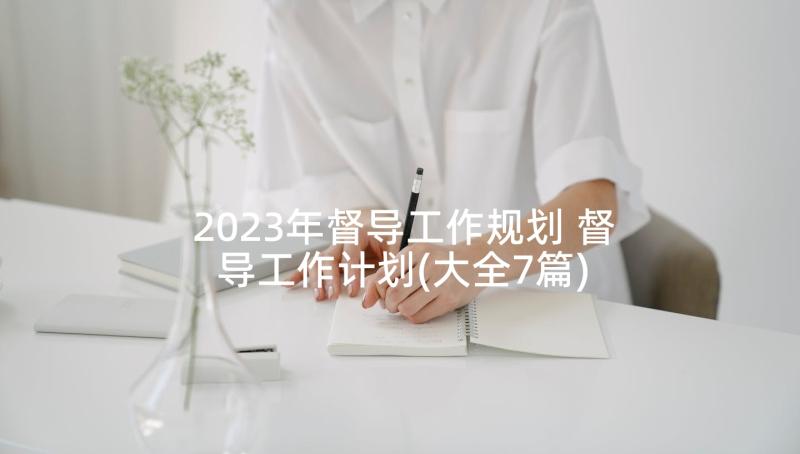2023年督导工作规划 督导工作计划(大全7篇)
