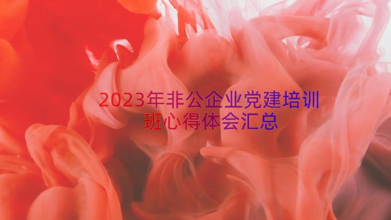 2023年非公企业党建培训班心得体会（汇总18篇）